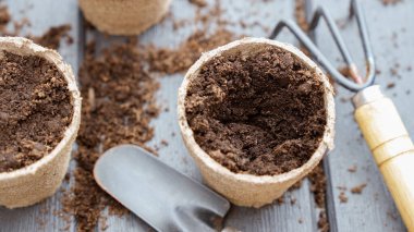 Close up of hand in yellow glove planting a seed in eco friendly biodegradable peat pots, top view, selective focus. Spring natural gardening, eco, plant care, organic product.