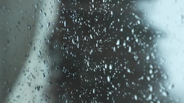 Snow Fall Window Melting Water Drops Glass Forest Large Rain — Vídeo de Stock