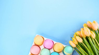 Renkli Paskalya yumurtaları paketi ve mavi arka planda sarı laleler ve metin için yer var. Yay yatıyordu. Pastel kutu içinde yumurta boyadı.