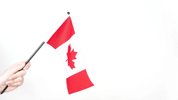 stock image Hand proudly waving the national flag of Canada. Canada day, vote.