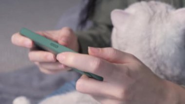 Close up of woman hands typing on smartphone with white cat in hands. Selective focus. Female sitting in green hoodie chatting on smartphone, stroking and play with cat spend free time in house