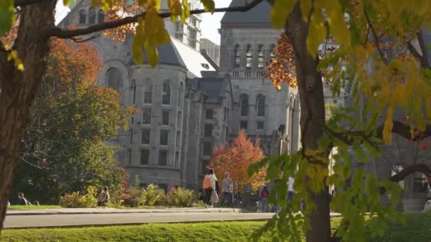 Scenic View Historical Landmark Mcgill University Fall Season Montreal People — Stock video