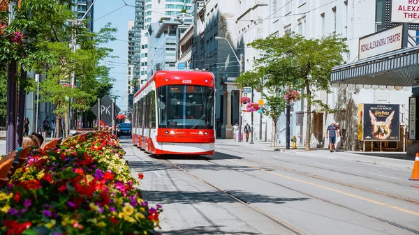 Street View New Ttc Bombardier Made Spårvagn Centrala Torontos Nöjesdistrikt — Stockfoto