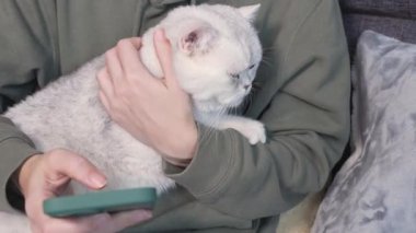 Yeşil kapüşonlu kadın akıllı telefon kullanıyor ve mavi gözlü beyaz tüylü, sevimli kedi kadın ellerinde kapüşonlu dantelle oynuyor. Gözleri kapalı sevimli bir kedi yavrusu. Kedileri ve insanları severim.