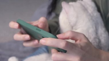 Close up of woman hands typing on smartphone with white cat in hands. Selective focus. Female sitting in green hoodie chatting on smartphone, stroking and play with cat spend free time in house