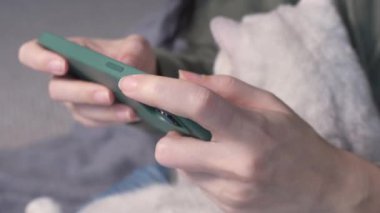 Close up of woman hands typing on smartphone with white cat in hands. Selective focus. Female sitting in green hoodie chatting on smartphone, stroking and play with cat spend free time in house