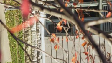 Sokaklarda yürüyen ve sıcak havayı müjdeleyen insanlar. Montreal 'de sonbahar sezonu boyunca tarihi McGill Üniversitesi manzarası. PMontreal, QC Kanada 22 Ekim 2022