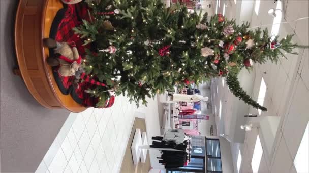 Toko Yang Menjual Hadiah Natal Dan Liburan Dekorasi Belanja Natal — Stok Video