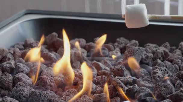 Assar Marshmallows Sobre Uma Fogueira Luz Noite Fechar Com Foco — Vídeo de Stock