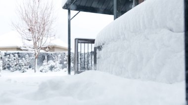 View of the trees, bushes, gazibo on backyard in heavy snowfall with blizzard and wind gusts against the background