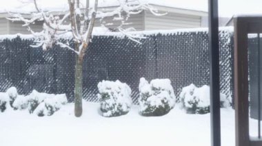 View of the trees, bushes, gazibo on backyard in heavy snowfall with blizzard and wind gusts against the background