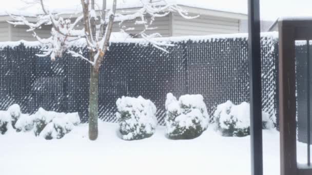 View Trees Bushes Gazibo Backyard Heavy Snowfall Blizzard Wind Gusts — Stok video