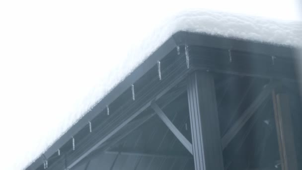 Pohled Gazibo Plné Sněhu Dvorku Silném Sněžení Vánicí Poryvy Větru — Stock video