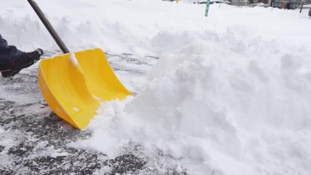 カナダの冬の嵐の後 ドライブウェイから雪を降らせる男 雪のシャベルを持っている男は冬に歩道を掃除します カナダのオタワ — ストック動画