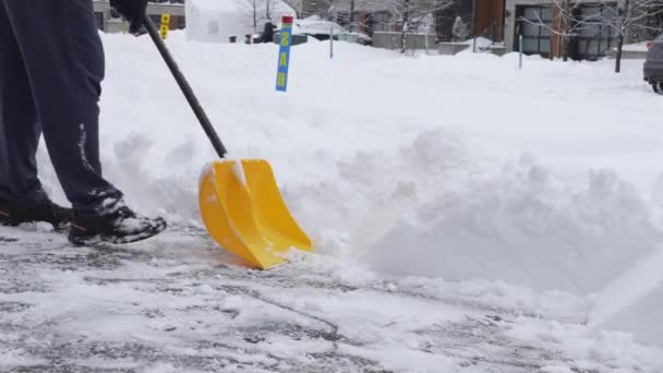 Чоловік Скидає Сніг Проїжджої Частини Після Зимового Шторму Канаді Людина — стокове відео