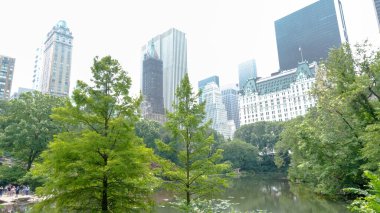 Değişik araçlar, büyüleyici binalar, yeşil ağaçlar ve kentsel yaşamın enerjik özünü özetleyen canlı bir atmosferle dolu hareketli bir New York caddesi..