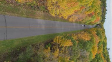 Sonbahar ormanlarındaki renkli sonbahar ağaçlarının ve yolların insansız hava aracı yüksekliğinden havadan görünüşü. Dikey video.