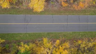 Sonbahar ormanlarındaki renkli sonbahar ağaçlarının ve yolların insansız hava aracı yüksekliğinden havadan görünüşü. Dikey video.