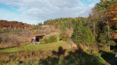 Sonbahar ormanlarındaki renkli sonbahar ağaçları ve yol insansız hava aracı yüksekliğinden alındı.
