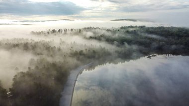 Aerial view of a foggy lake at sunrise with a dark forest along the shore. The thick fog creates a mysterious atmosphere, while the warm glow of the sun peeks through. clipart