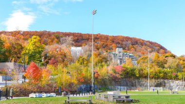 Montreal, Quebec Kanada - 27 Ekim 2024: Canlı bir sonbahar yeşilliği ve tepede mavi gökyüzü arka planına sahip tarihi bir konak.