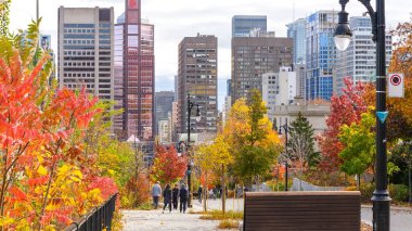 Montreal, Quebec Canada - 27 Ekim 2024: Sonbahar boyunca canlı bir şehir parkı, ağaçların ve yaprakların rengarenk arka planının keyfini çıkaran insanlar