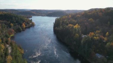 Sonbahar ormanlarındaki renkli sonbahar ağaçları ve yol insansız hava aracı yüksekliğinden alındı.