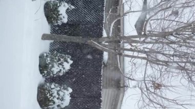 View of the trees, bushes, gazibo on backyard in heavy snowfall with blizzard and wind gusts against the background