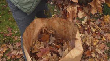 Ottawa On Canada - 11-10-2024: sonbahar yapraklarını temizleme. İnsan sonbahar yapraklarını bir yığın haline getirerek temizler. Adam yerden kahverengi yapraklar topluyor.