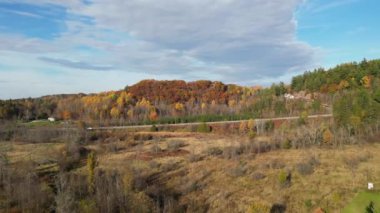 Sonbahar ormanlarındaki renkli sonbahar ağaçları ve yol insansız hava aracı yüksekliğinden alındı.