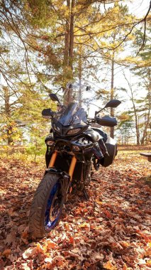 Ottawa On Canada - 07.27.2024: Yamaha Tracer 900 GT macera motosikleti sonbahar yapraklı manzaralı orman patikası üzerine park etti
