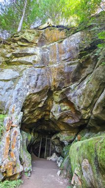 Bu ilginç mağaranın derinliklerini keşfedin. Metal bir kapı ve yosun kaplı taş duvarlar. Doğanın sanatsal ve gizli gizemlerinin büyüleyici bir sahnesi yemyeşil bir ormanda bekliyor..