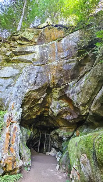 Bu ilginç mağaranın derinliklerini keşfedin. Metal bir kapı ve yosun kaplı taş duvarlar. Doğanın sanatsal ve gizli gizemlerinin büyüleyici bir sahnesi yemyeşil bir ormanda bekliyor..