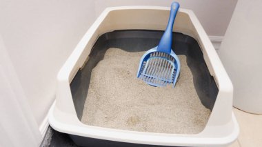 İçinde mavi bir kepçe bulunan içi taze kum dolu modern bir kedi kumluğu. Bu resim temizliği ve sorumlu hayvan bakımını sembolize ediyor, hayvan malzemeleri mağazaları ve makaleler için ideal..