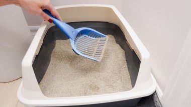 Bir insan kedi kumu kutusundan atık topluyor. Bu hayvan hijyenini korumak için çok önemli bir görev. Bu rutin, hem ev hayvanları hem de ev sahipleri için temiz ve sağlıklı bir ortam sağlar..