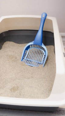 A blue cat litter box scoop sits on a clean surface, essential for maintaining your cat s hygiene. This scoop is designed for easy use, ensuring a tidy and pleasant environment for your feline friend.