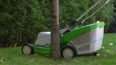 Bişkek, Kırgızistan - 09.18.2024: Dağılmış sonbahar yapraklı yemyeşil bir çimen. Güneş ışığı çimlerin üzerine yumuşak gölgeler bırakır. Arka planda bir ağaç görünür, olay yerine derinlik ekler.