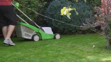 Bişkek, Kırgızistan - 09.18.2024: Dağılmış sonbahar yapraklı yemyeşil bir çimen. Güneş ışığı çimlerin üzerine yumuşak gölgeler bırakır. Arka planda bir ağaç görünür, olay yerine derinlik ekler.