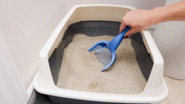 Evcil hayvan bakımı için temiz bir çöp kutusunun bakımı şarttır. Bu resim kedi kumu temizlemenin, hijyeni teşvik etmenin ve kedi arkadaşın için sağlıklı bir ortam sağlamanın rutinini gösteriyor..