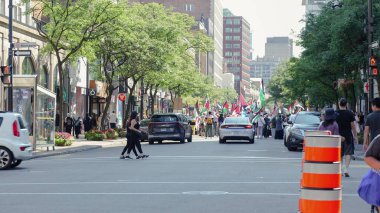 Montreal QC, Kanada - 20 Temmuz 2025: Montreal 'de Filistin yanlısı protestocular, ellerinde şehir manzarası ve yeşilliklerle sokakta yürüyen bayraklar tutuyorlardı.