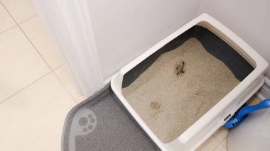 Kedi kumluklarıyla dolu temiz bir kedi kumluğu ve bir kepçe hasırın üzerine yerleştiriliyor, hayvan sahipleri için kolay temizlenebilir bir çözüm sunarken aynı zamanda kokuları kontrol ediyor..