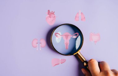 uterus kadın üreme sistemi, kadın sağlığı, PCOS, yumurtalık jinekolojik ve rahim kanseri, rahim ikonuna daha fazla odaklanmak, sağlıklı kadın konsepti
