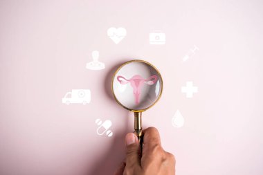 uterus kadın üreme sistemi, kadın sağlığı, PCOS, yumurtalık jinekolojik ve rahim kanseri, rahim ikonuna daha fazla odaklanmak, sağlıklı kadın konsepti