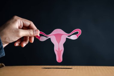 Eller rahmi bağış kutusuna, kadın üreme sistemine, kadın sağlığına, PCOS 'a, yumurtalık jinekolojisine ve rahim ağzı kanserine, sağlık sigortasına, sağlıklı kadın kavramına bırakır.