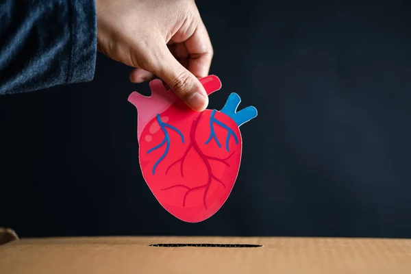 Manos Caen Corazón Rojo Caja Donaciones Salud Donación Órganos Seguro — Foto de Stock