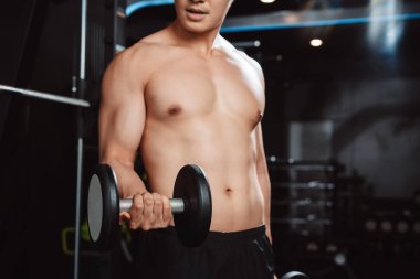 Erkek, spor salonunda halterli vücut geliştirici. Halterle egzersiz yapan vücut geliştirici. Spor eğitimi, sağlıklı vücut geliştirme, sporcu kaslı yaşam tarzı..