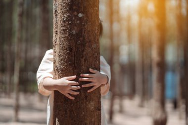 Küçük kız ağaçlara sarılıyor, çevre kavramını kurtarıyor, ormanda dost canlısı bir ortam, parkta çevre dostu bir ortam.