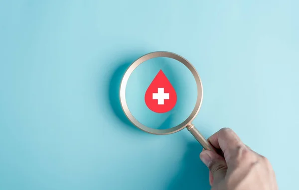 Magnifier Зосереджується Значку Краплі Крові Переливанні Крові Всесвітньому Дню Донора — стокове фото