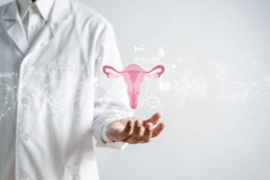 Beyaz önlüklü bir doktorun elinde sanal uterus üreme sistemi, kadın sağlığı, PCOS, yumurtalık jinekolojik ve rahim ağzı kanseri, sağlıklı kadın kavramı var.