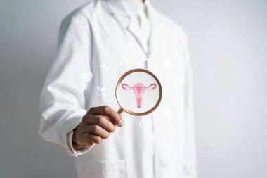 doctor in a white coat holding virtual uterus reproductive system , woman health, PCOS, ovary gynecologic and cervix cancer, Healthy feminine concept clipart